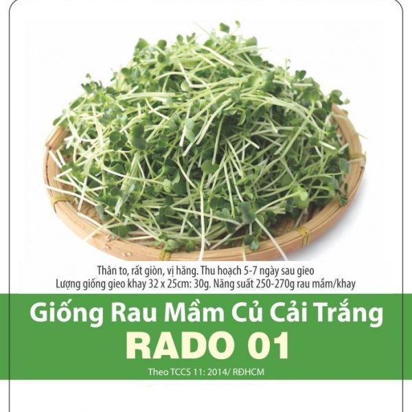 HẠT GIỐNG Rau Mầm Củ Cải Trắng RADO 01 - GÓI 1KG, NÃY MẦM CỰC KHÕE