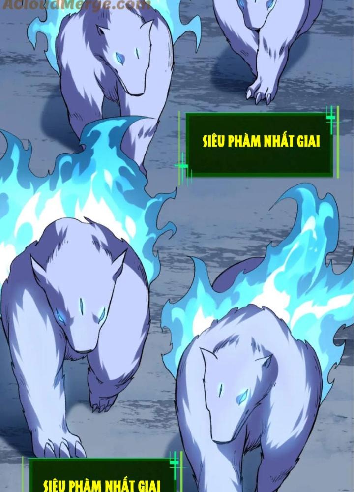 từ cây cổ thụ bắt đầu tiến hóa chapter 98 102