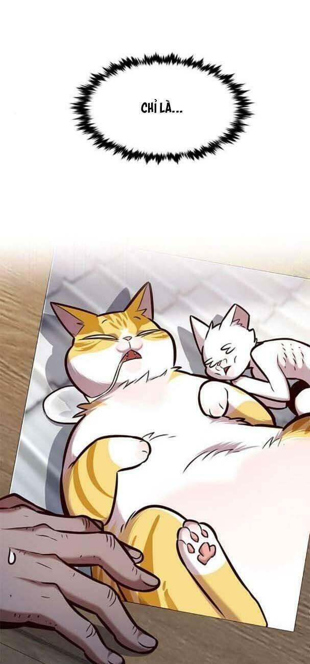 biến thân thành mèo chapter 193 34