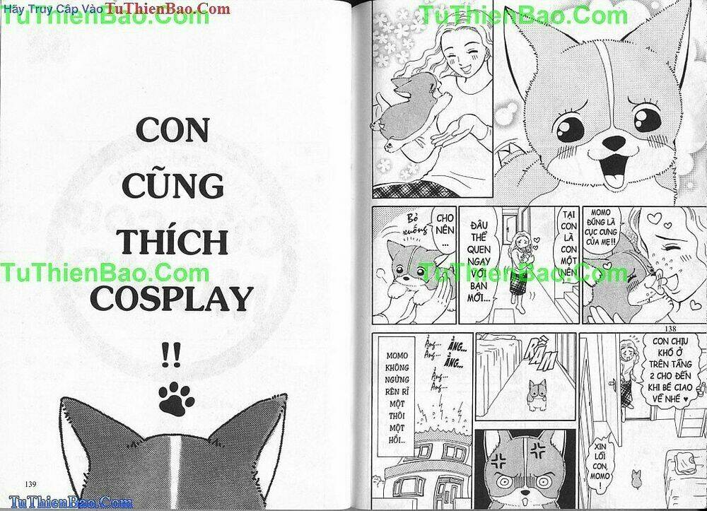 chó con mo mo chapter 1 70