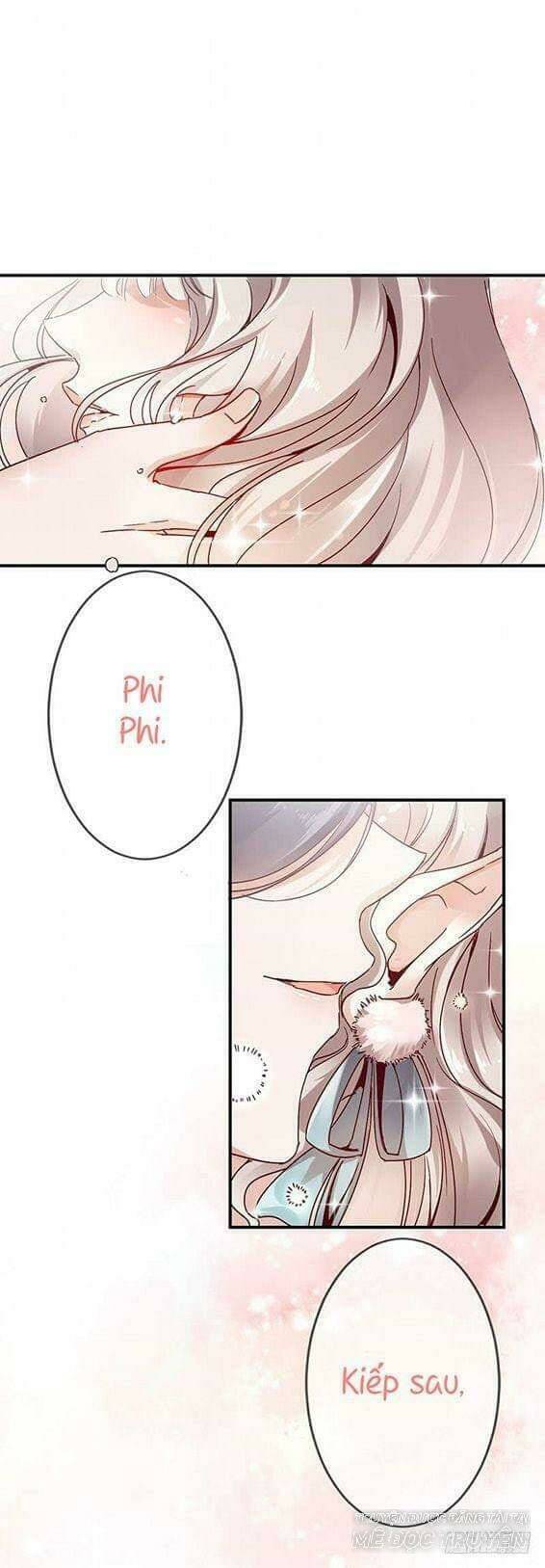 không còn lối về (đám thần thú này có chút manh động hệ liệt) chapter 2 1