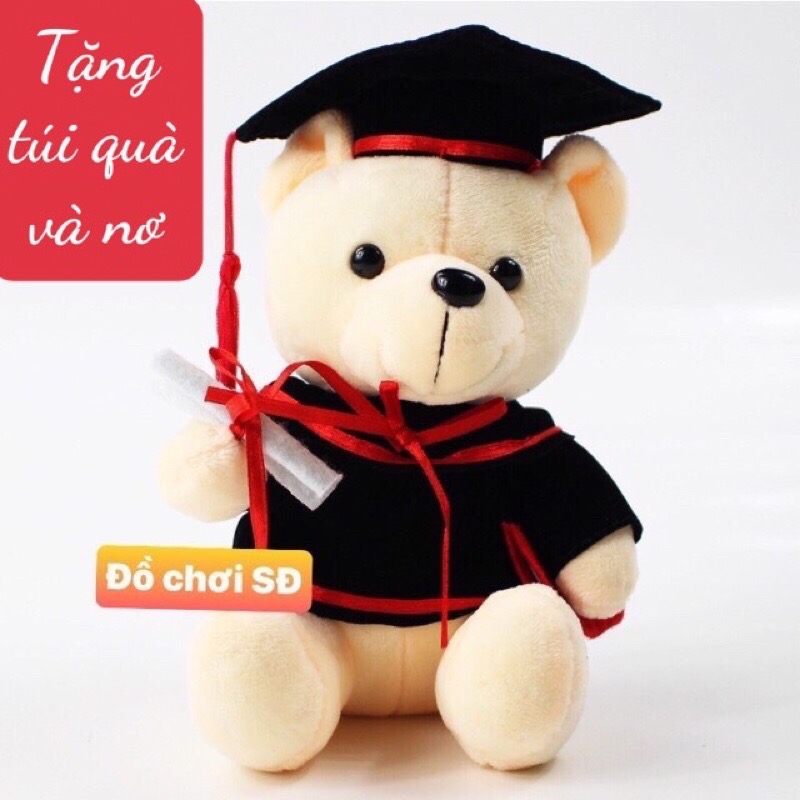 Thú bông gấu tốt nghiệp 27cm - tặng túi gói quà và nơ