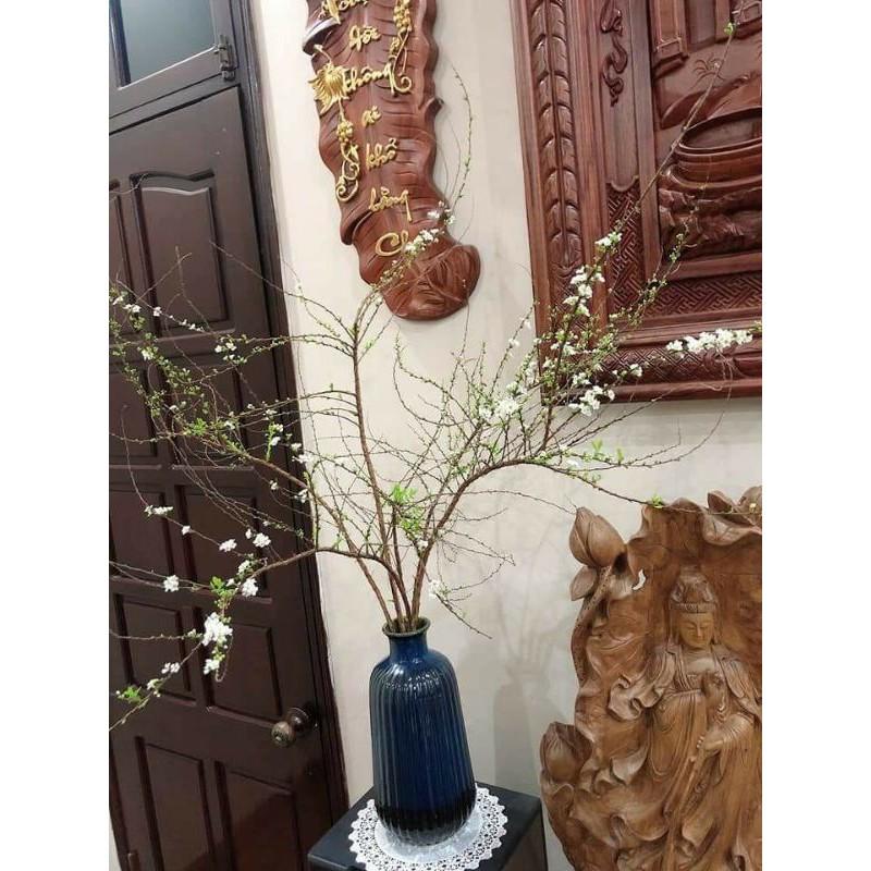 Lọ hoa dòng hỏa biến