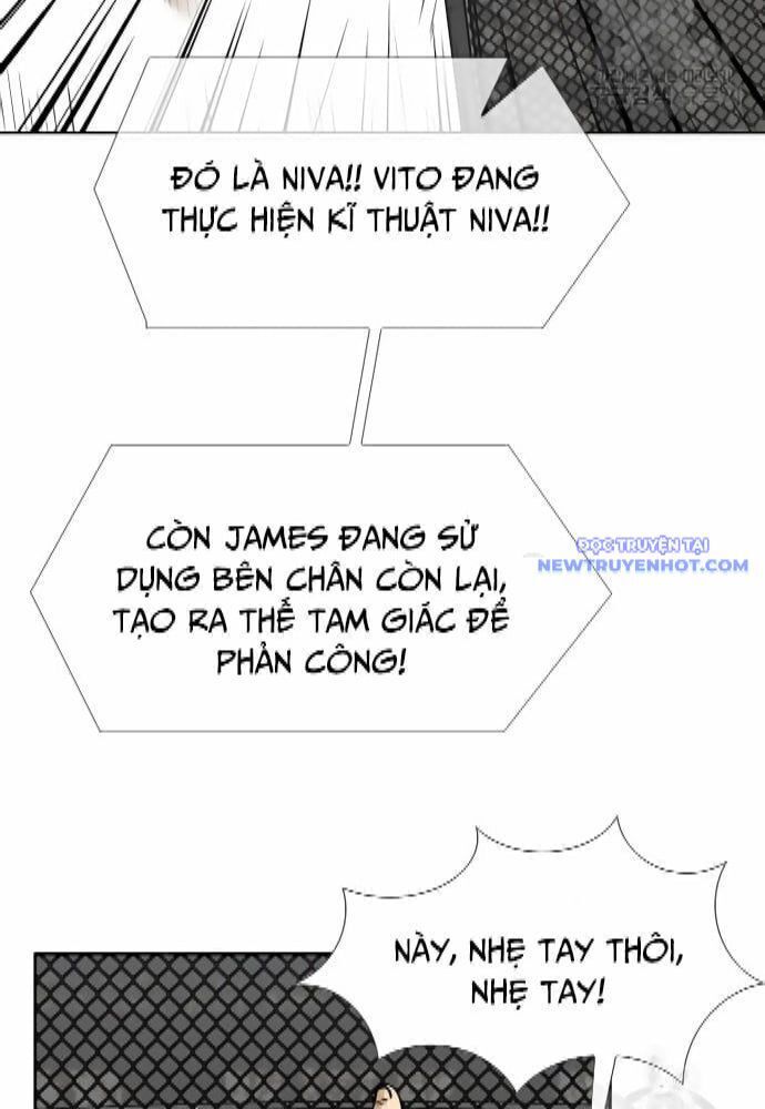 shark - cá mập chapter 264 25