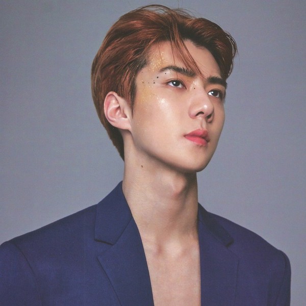 Bộ ảnh thẻ Sehun EXO