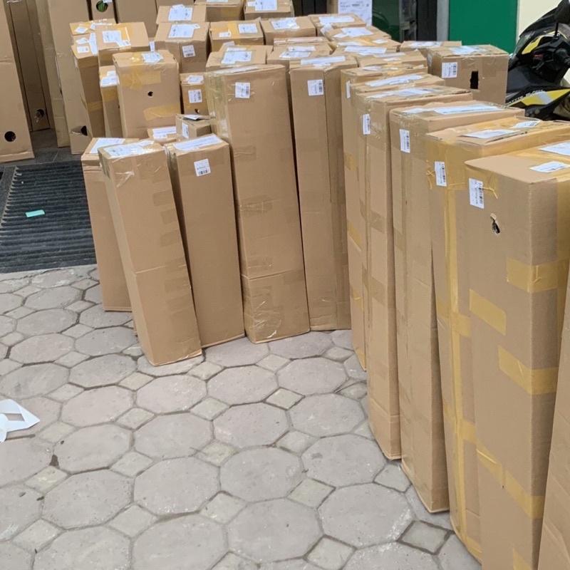 Cây đào tiên Nhật Bản 1 năm ra quả