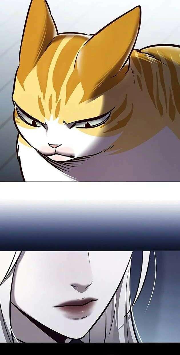 biến thân thành mèo chapter 270 20