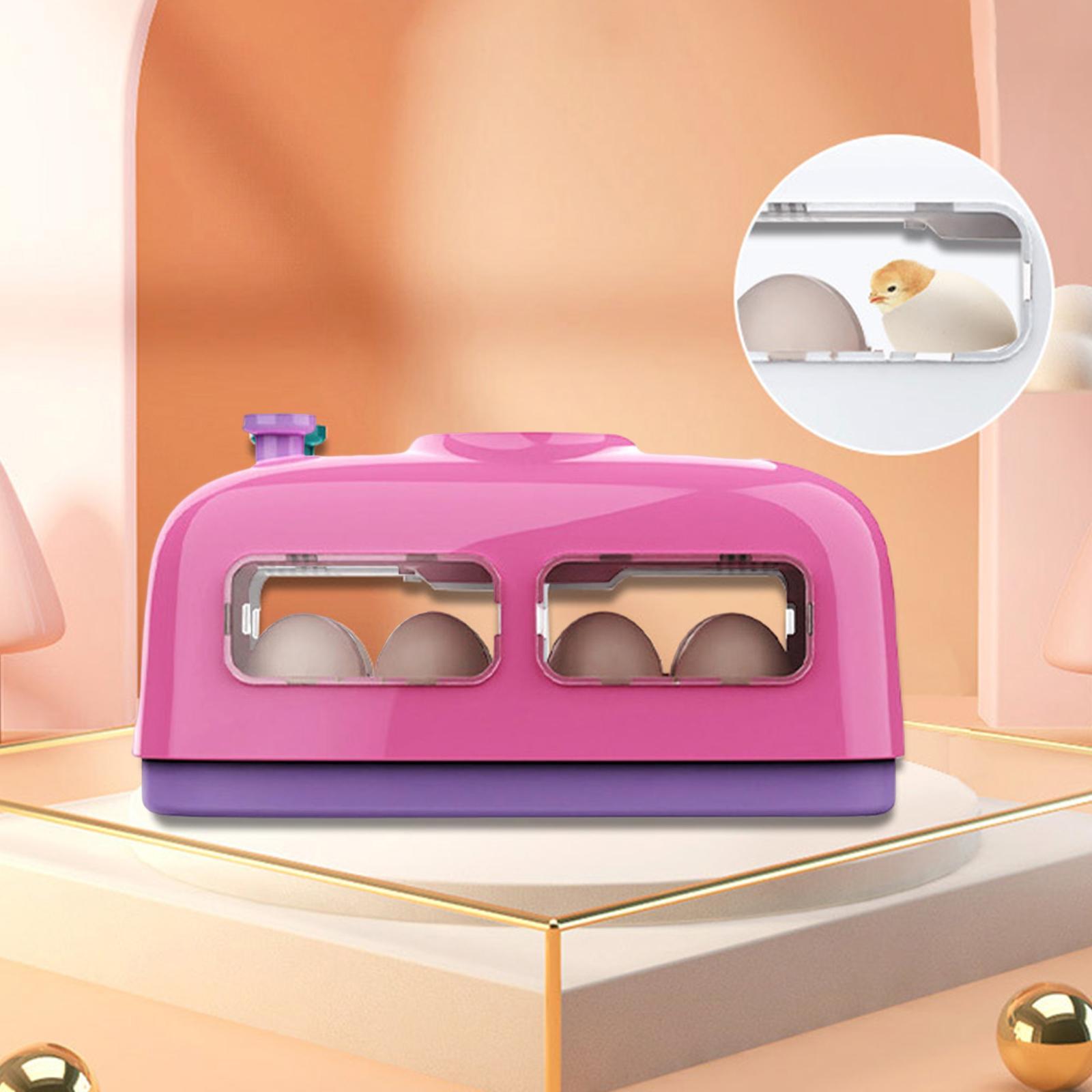 Small Egg Incubator  Digital Manual Egg Turning for   Birds