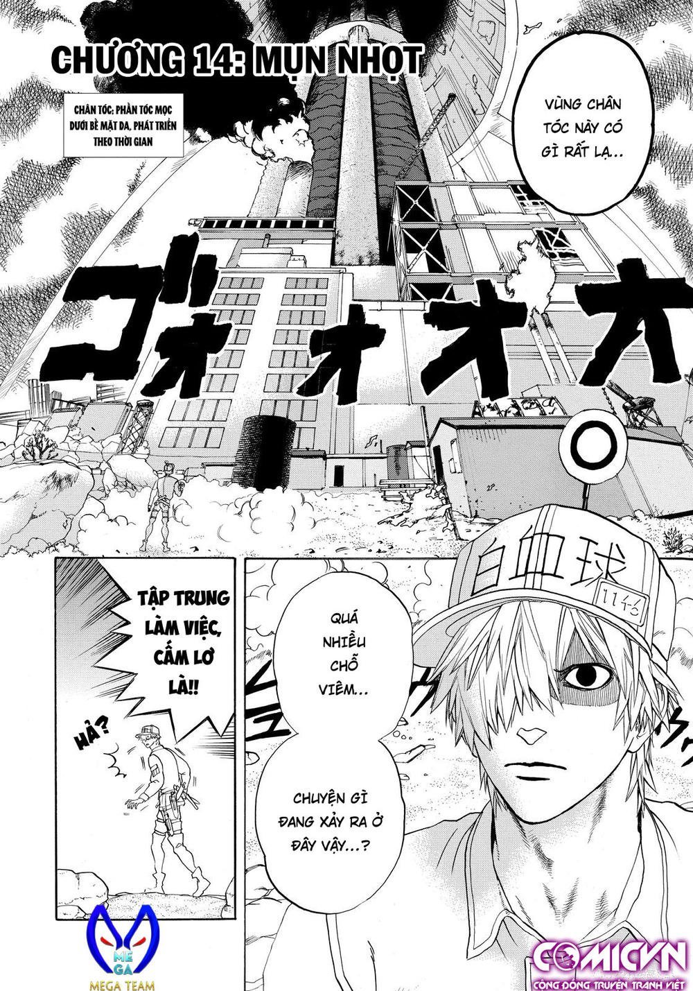 hataraku saibou! chapter 14 2