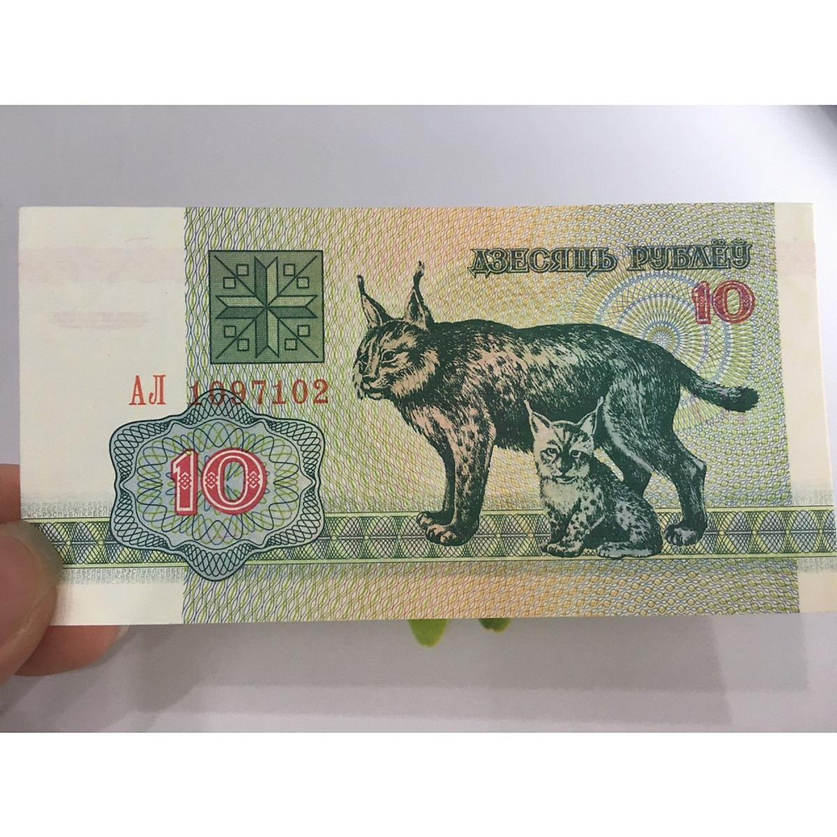 Tiền 10 Rubles của Belarus hình con Mèo thích hợp làm quà tặng phong thủy