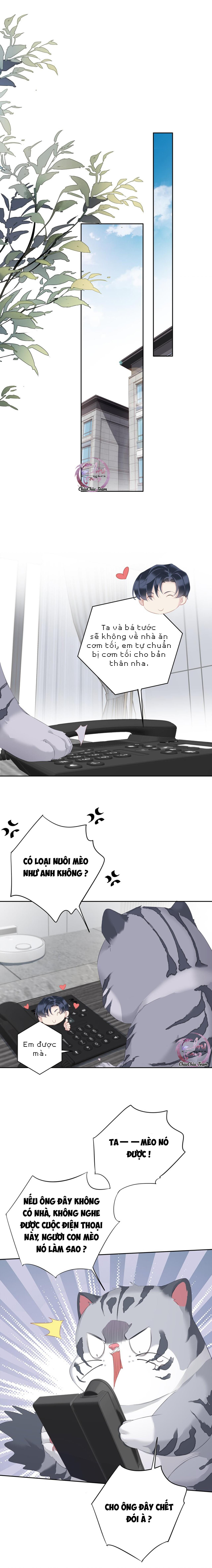 cuộc mai mối vượt giống loài chapter 34 5