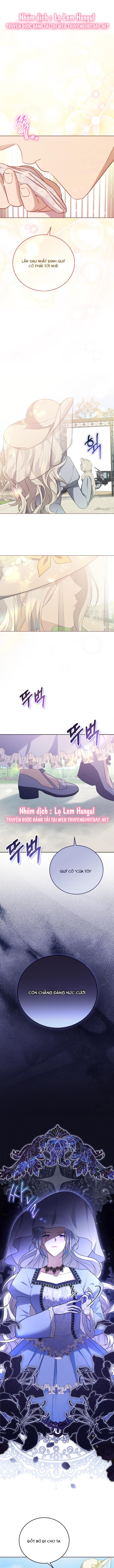 tiểu thư, ta chẳng thích cô chút nào! chapter 1 1