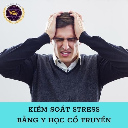 Khóa Học Video Kiểm Soát STRESS Bằng Y Học Cổ Truyền - Trung Tâm Chăm Sóc Sức Khỏe VMC