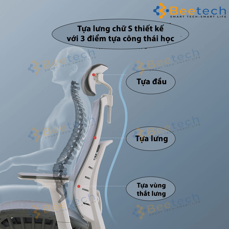 Ghế công thái học Sihoo M93C Ergonomic