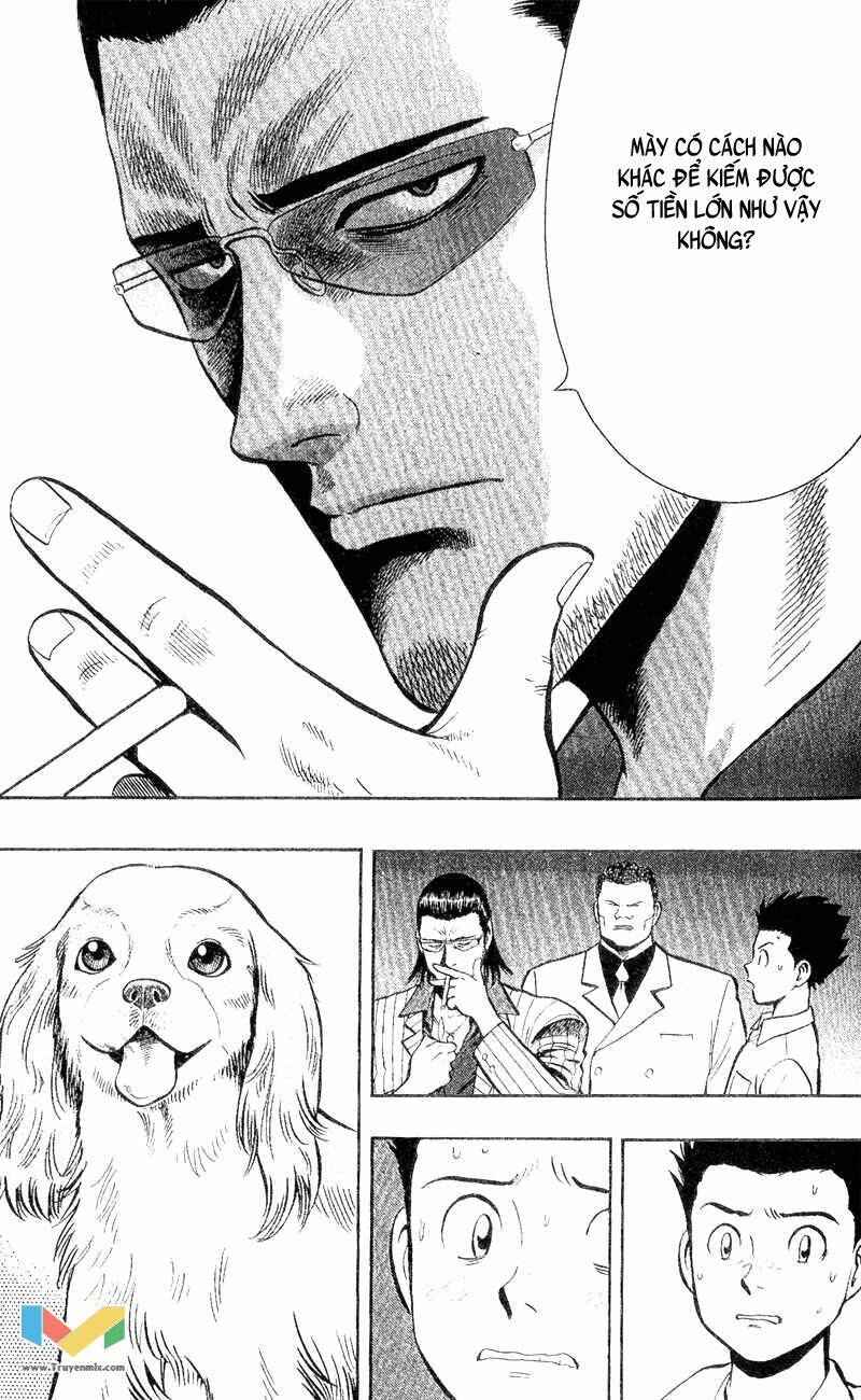 animal sense chapter 3 9