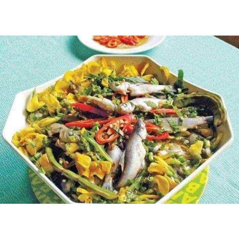 Hạt giống bông điên điển tứ quý Trang Nông gói 1g rất dễ trồng