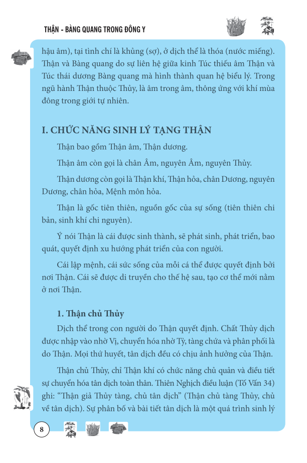 Sách Thận Bàng Quang Trong Đông Y (Bìa mềm)