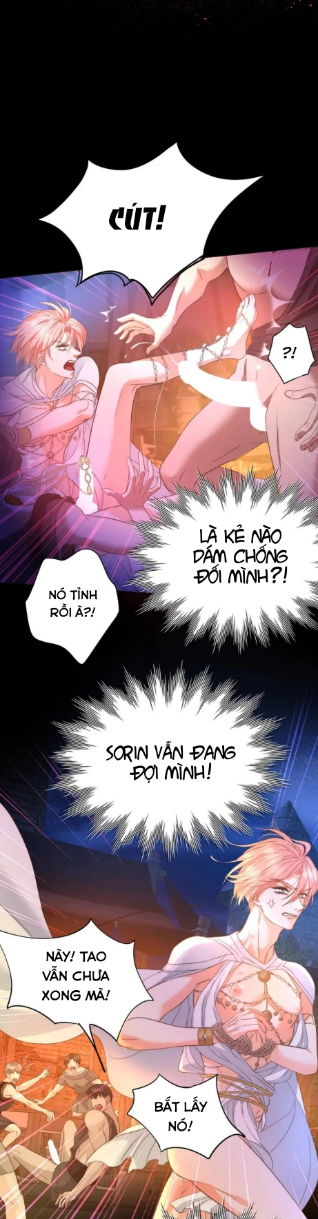 Điên cuồng vì em chapter 7