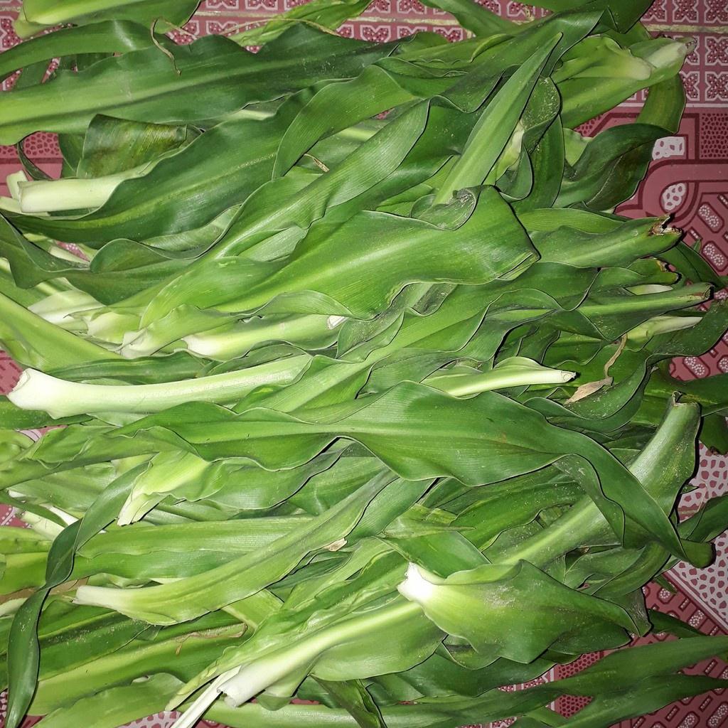 1kg lá cây trinh nữ hoàng cung sạch, cây vườn nhà trồng