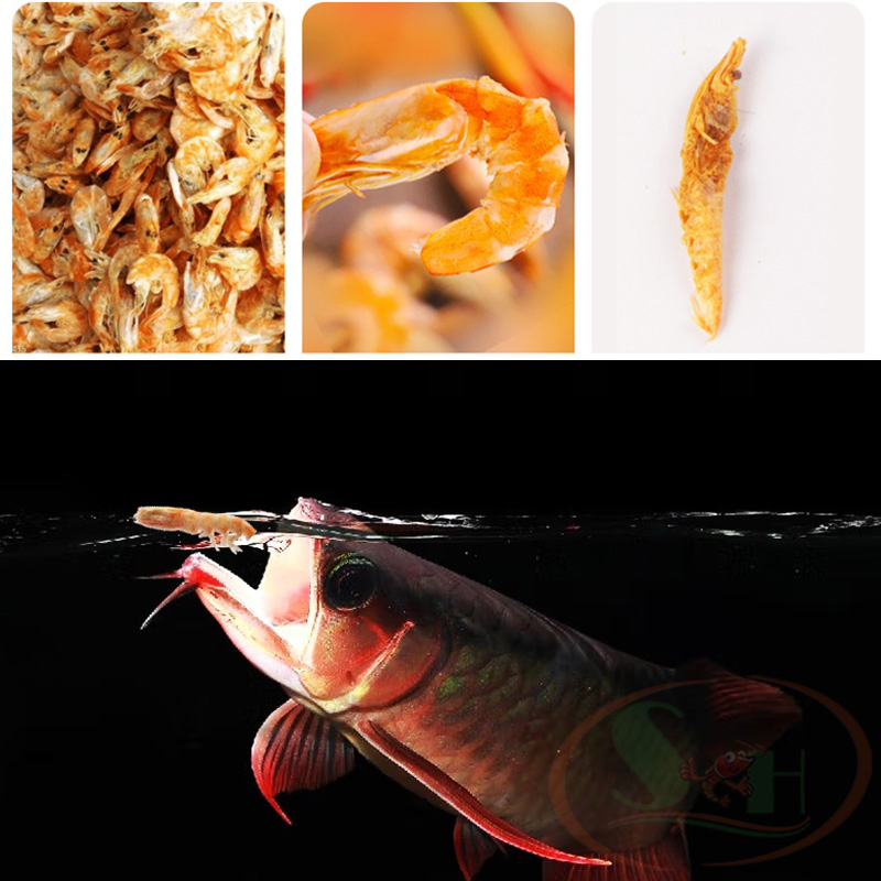 Thức ăn cá Biozym Dried Shrimp tôm khô đông lạnh dinh dưỡng cho cá rùa cảnh