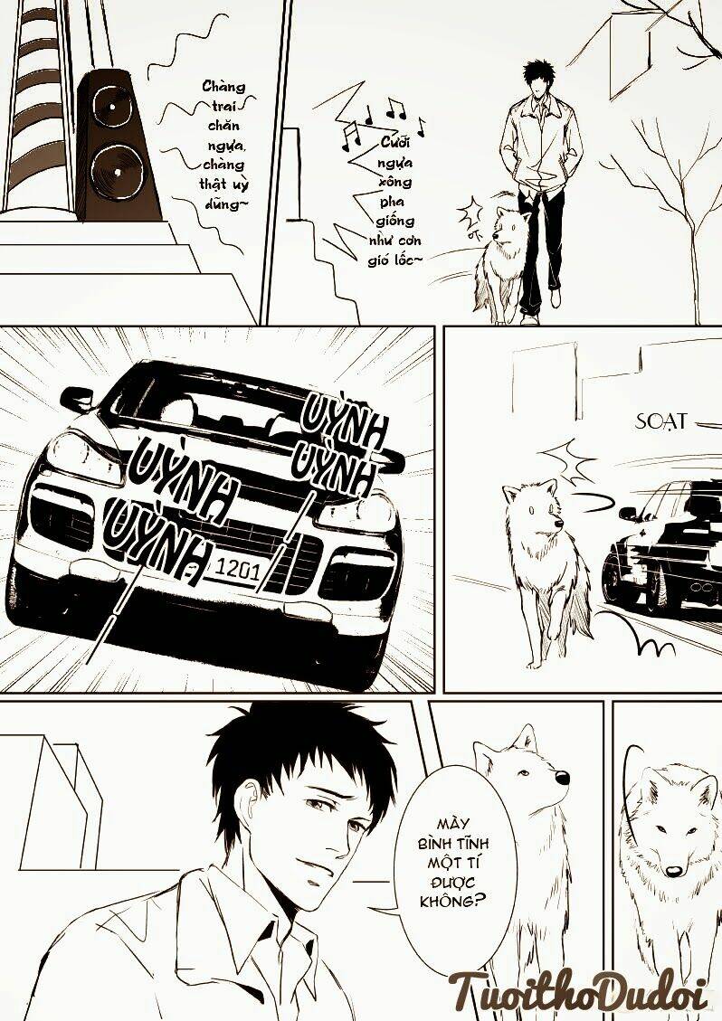 sự mê hoặc của sói chapter 11 6