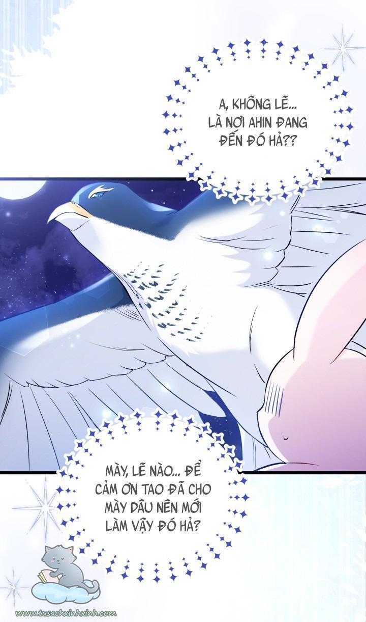 quan hệ cộng sinh giữa báo đen và thỏ trắng chapter 57 24