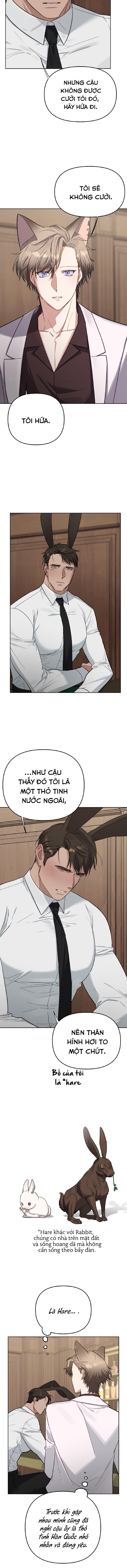 3 giây thỏ "nhỏ" đã xuất tinh rồi chapter 2 12