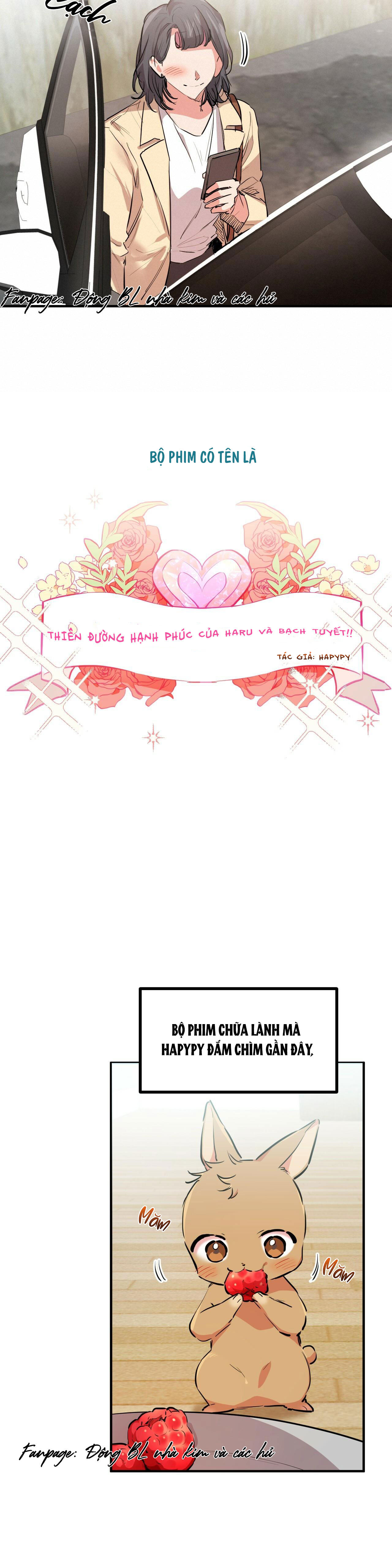 những chú thỏ của hapypy chapter 28 29