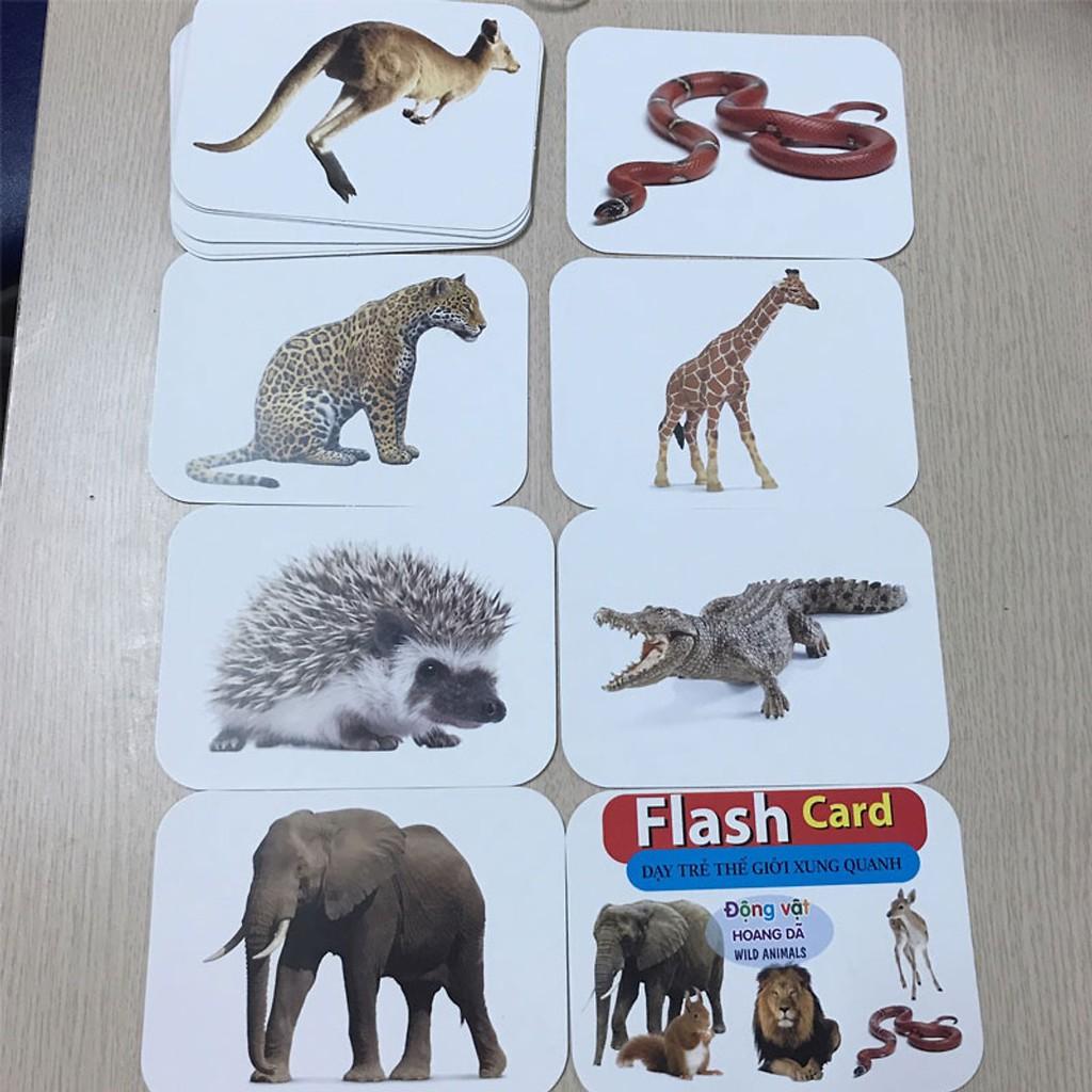 Bộ Thẻ  Học Flashcard Thông Minh Cho Bé 19 Chủ Đề Loại Lớn - Hàng Việt Nam Cao Cấp Chính hãng Amalife