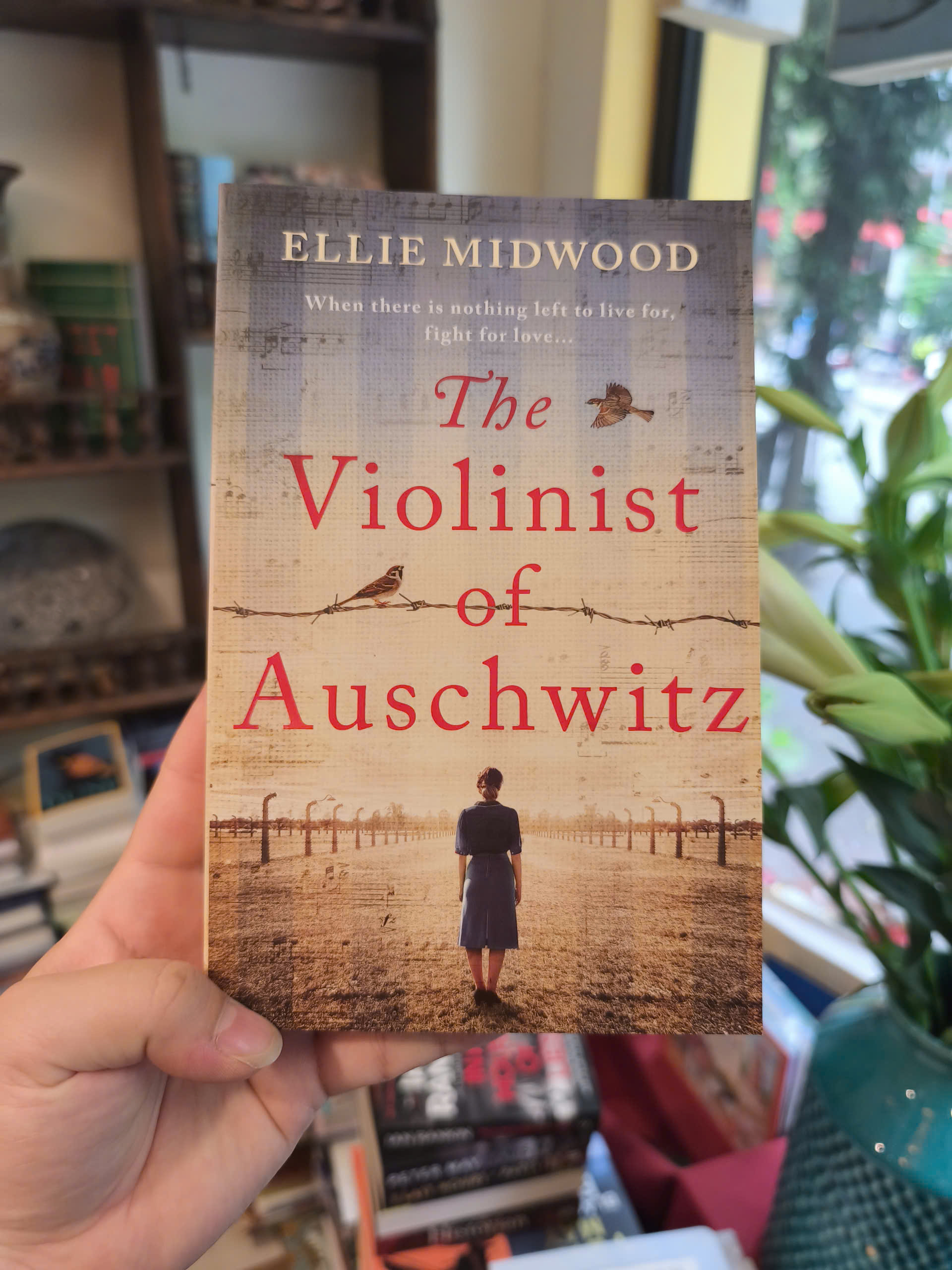 Sách - The Violinist of Auschwitz by Ellie Midwood | Historical Fiction / Holocaust / Ngoại văn