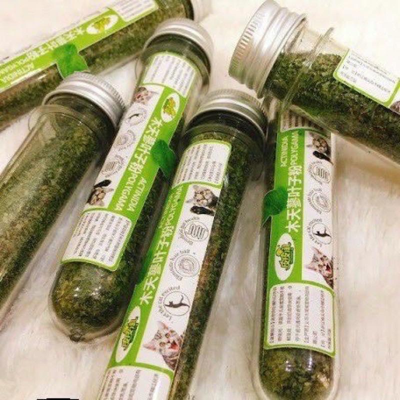 Cỏ Catnip Cỏ Bạc Hà Dạng Ống Cho Mèo