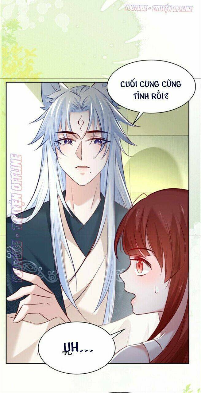 hắc hóa nam chính trực tuyến nuôi thỏ chapter 36 11