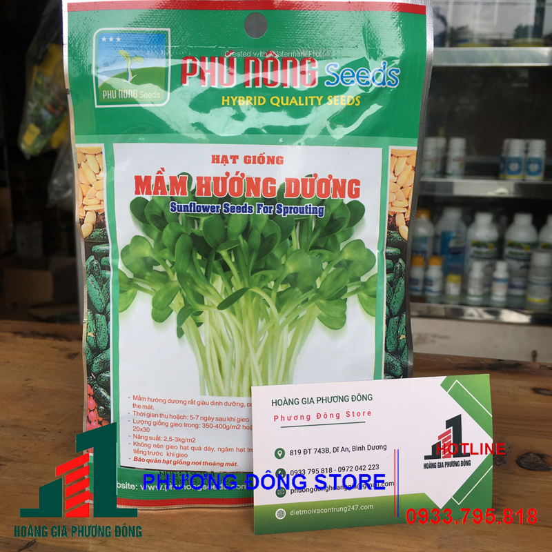 Combo 5-10 gói hạt giống rau Mầm hướng dương nảy mầm đồng đều, sinh trưởng nhanh