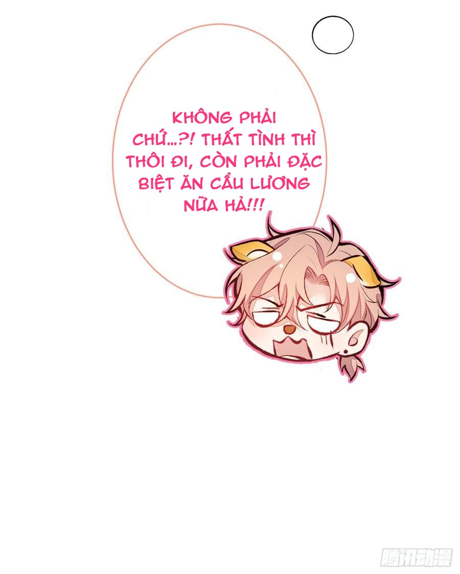 lại bị nam thần chọc trên hot search! chapter 62 36