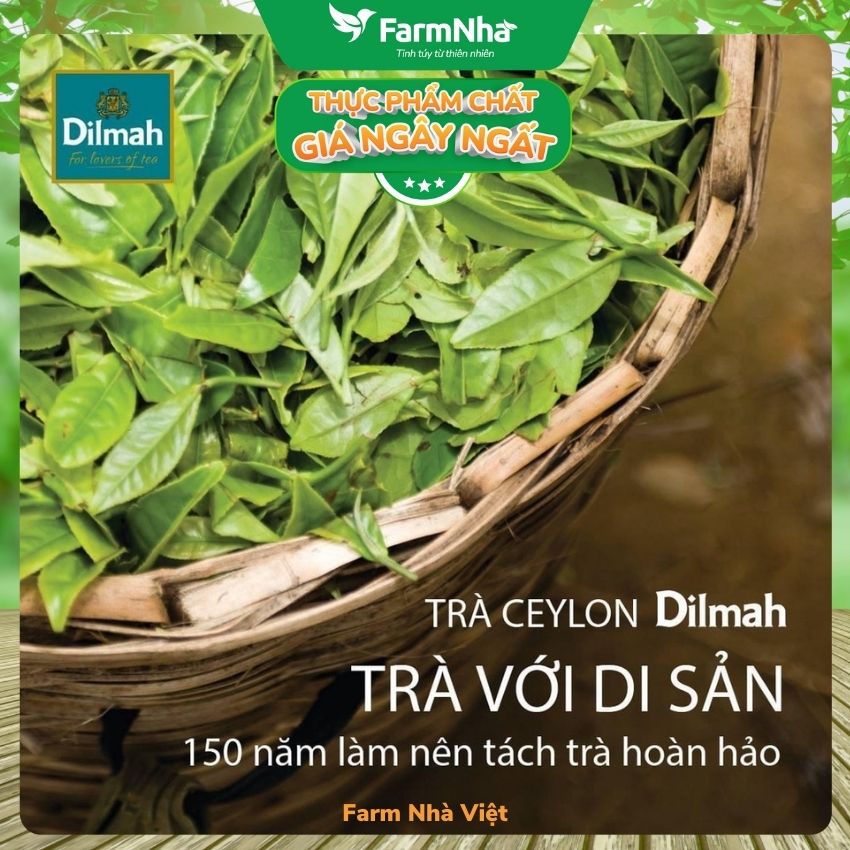Trà Dilmah Raspberry túi lọc 30g 20 túi x 1.5g - Tinh hoa trà Sri Lanka