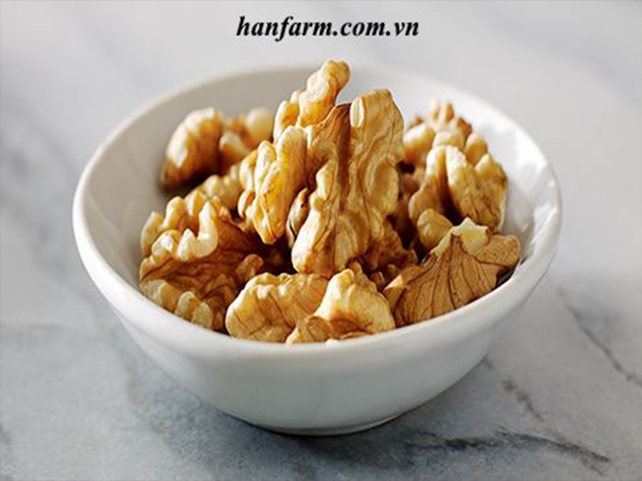 Nhân hạt óc chó Chandler Mỹ/Chile không biến đổi gen _Walnuts Chandler Grade 1_USA/Chile non GMO