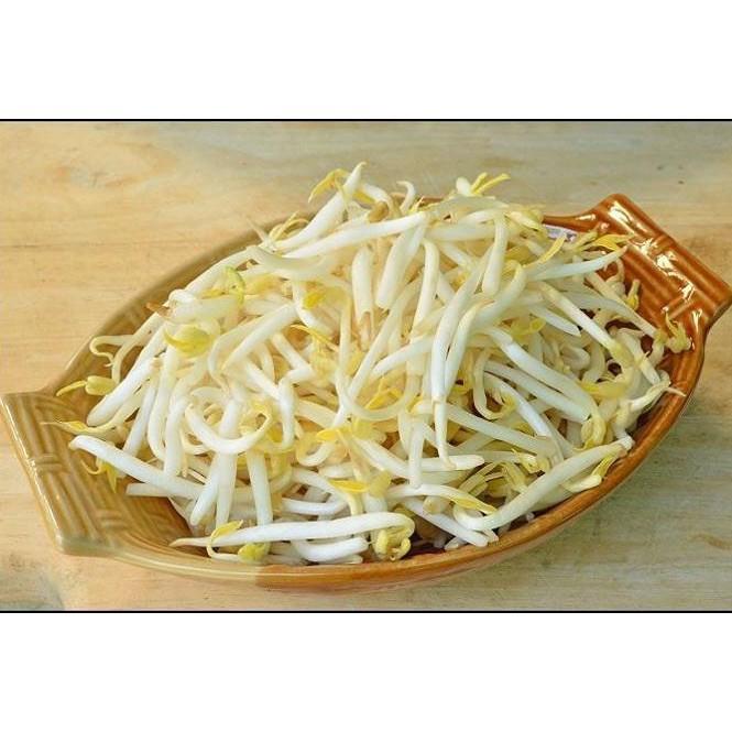 Hạt giống mầm giá đậu xanh gói 500 hạt siêu dễ trồng kháng bệnh tốt năng suất cao cửa hàng hạt giống uy tín