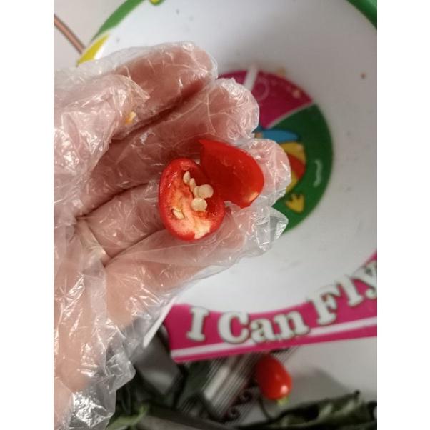 Hạt giống ớt tím cay, thơm giòn