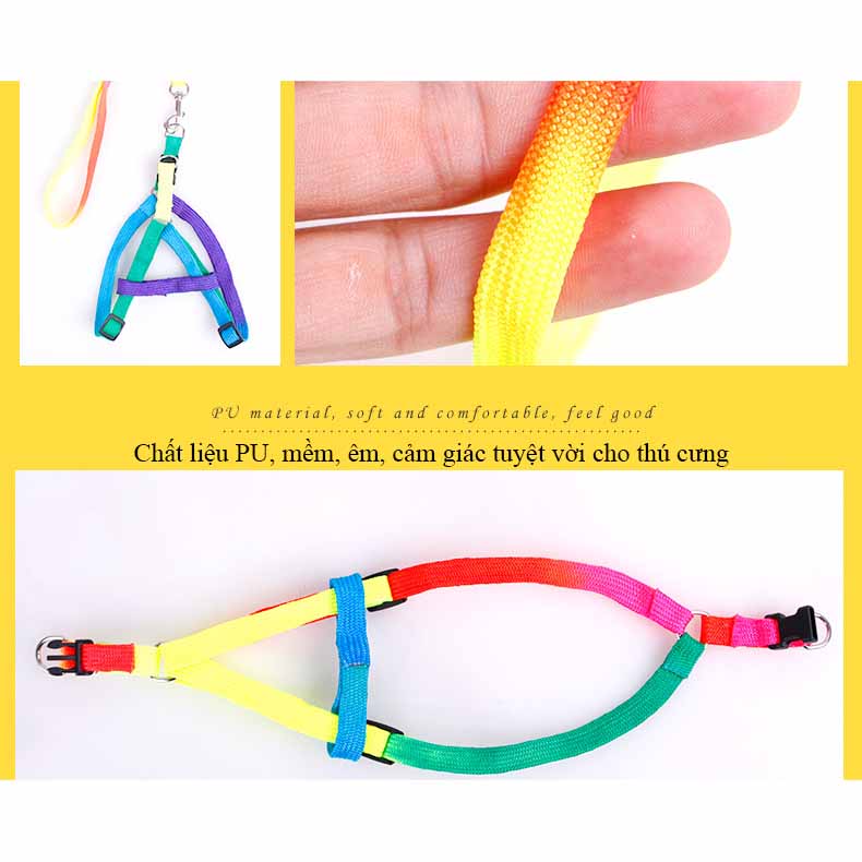 Dây dắt bảy màu dễ thương cho chó mèo 1-3kg