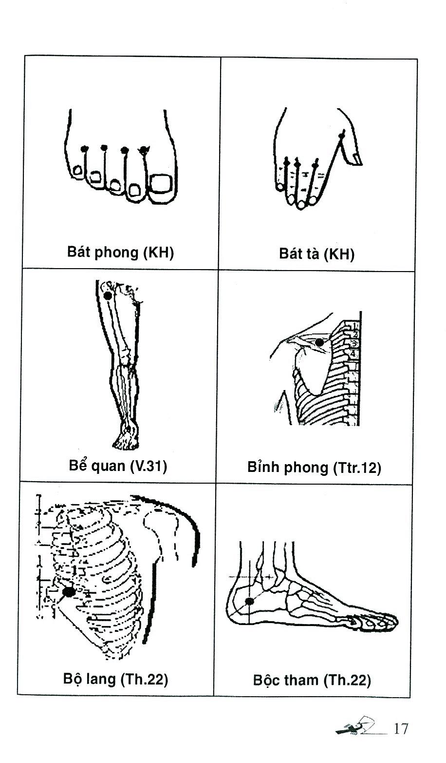Sách Sổ Tay Tìm Huyệt 2019