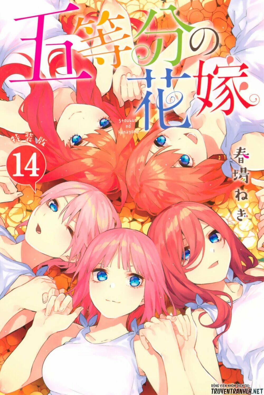 the five wedded brides chapter 122.5 3