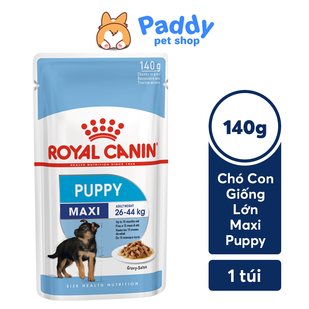 Pate Cho Chó Royal Canin Maxi Puppy Gói