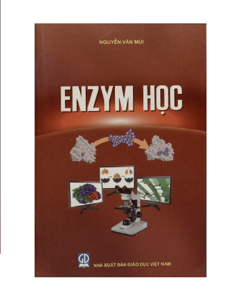 Enzym học