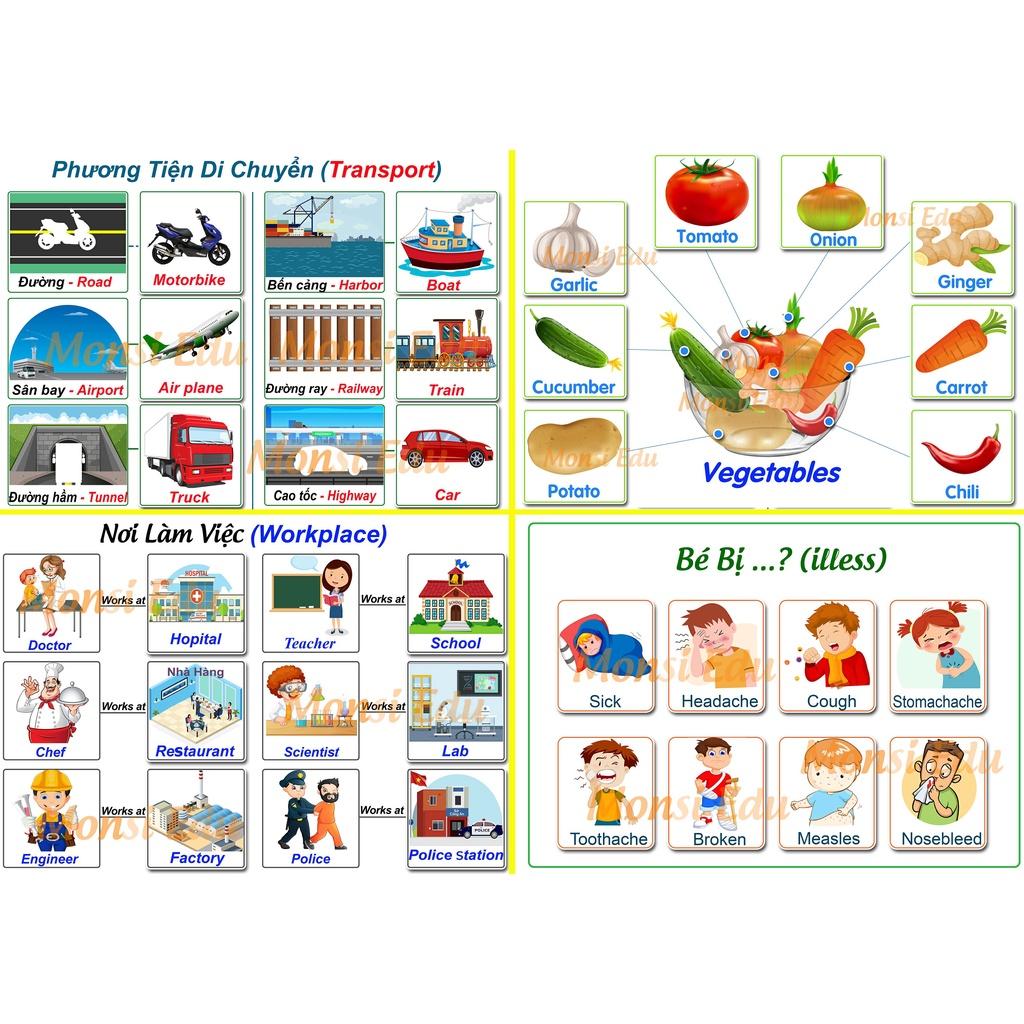 Monsi Edu Bộ Học Liệu từ vựng tiếng anh 20 chủ đề dính dán Montessori F30M