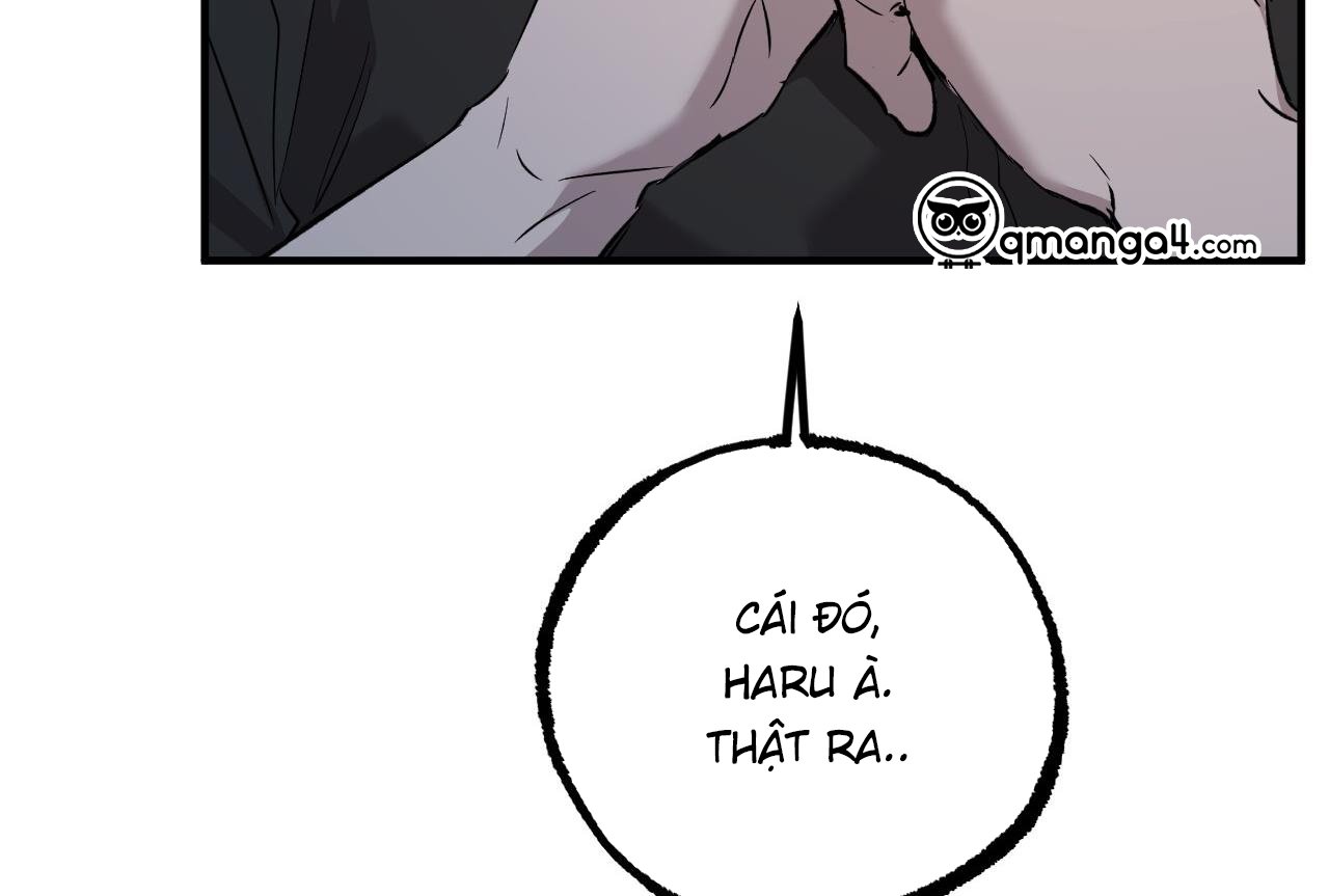 những chú thỏ của hapypy chapter 58 129