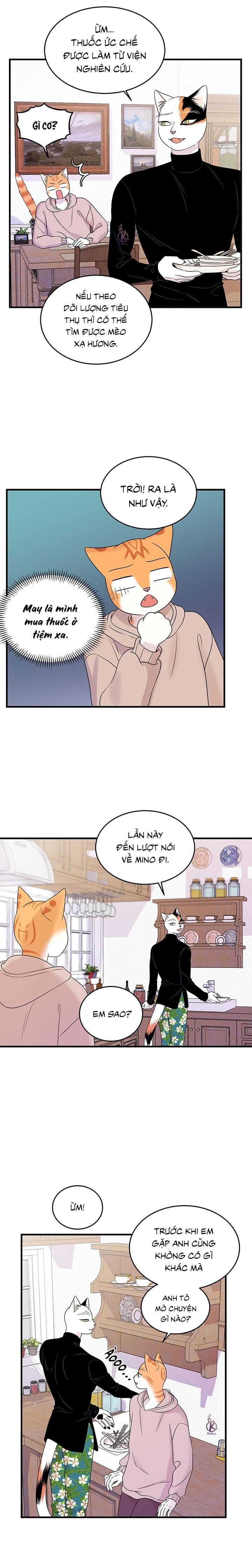 dự án xanh chapter 39 11