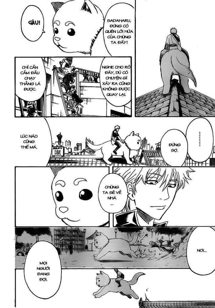 gintama - linh hồn bạc chapter 376 15