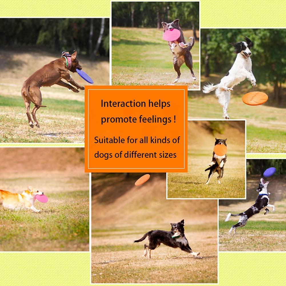 Chó Frisbee, Chó lát, 2 miếng Đồ chơi chó FRISBEE, vận chuyển cao su, cho đất và nước, thể thao ngoài trời, vườn, công viên và đồ chơi trẻ em được sử dụng