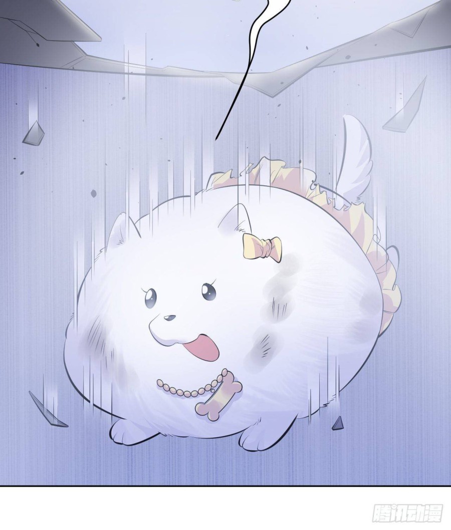 nhạc phụ đại nhân là bà xã chapter 34 35