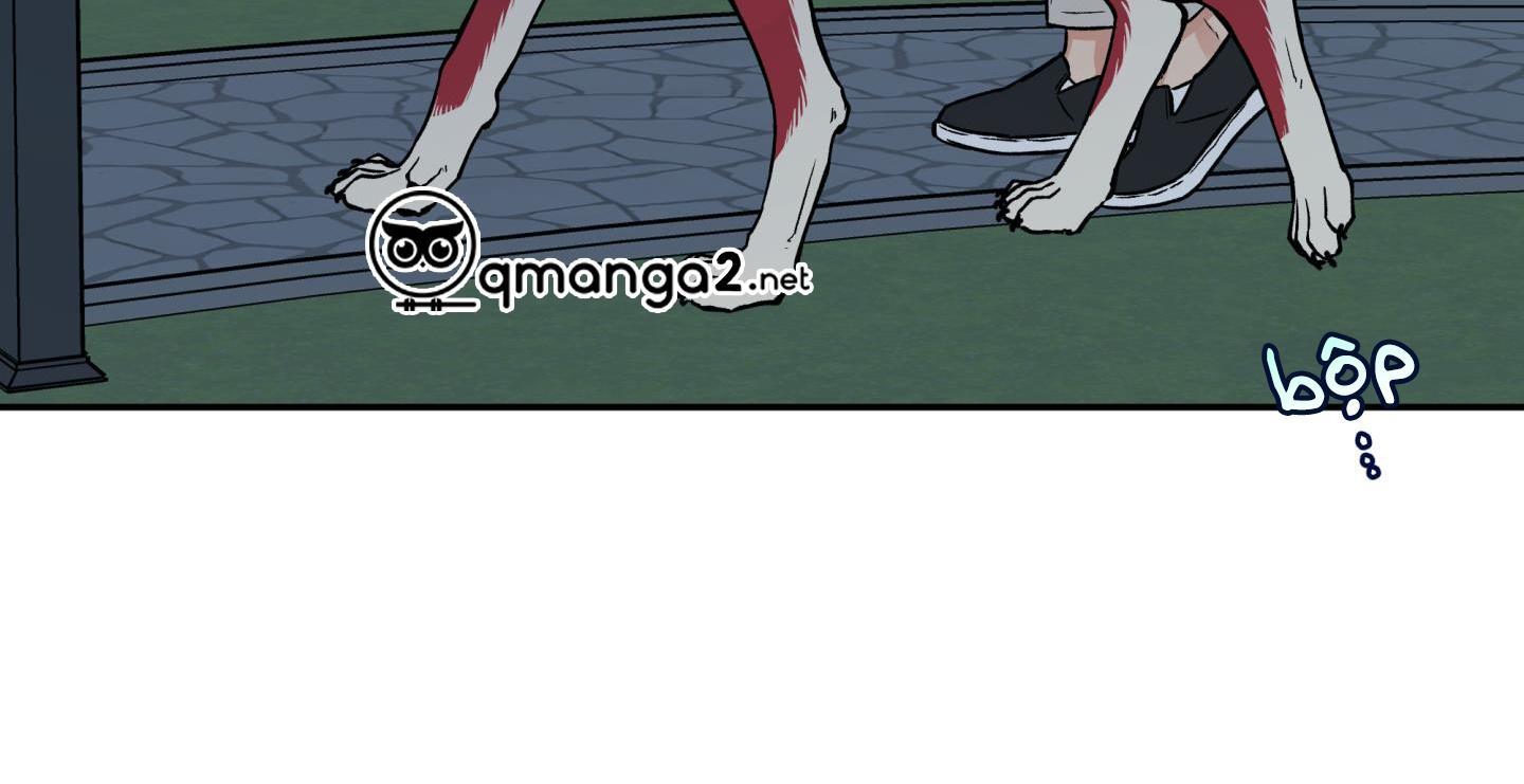 gâu gâu! chapter 51 53